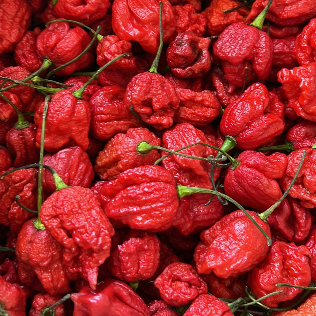 Carolina Reaper Hot Sauce